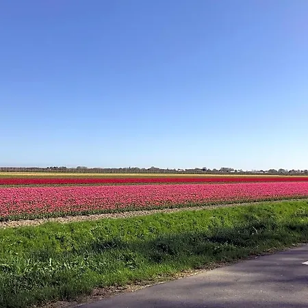 Nabij De Molen 3* Wijdenes