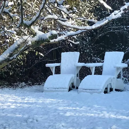 Nabij De Molen Couette-café 3*