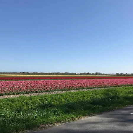 Nabij De Molen 3*